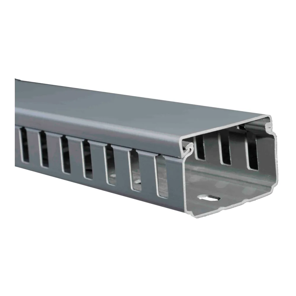 Canaleta Ran/gris Dxn 60X60MM X Tira T10092003 Schneider Electric