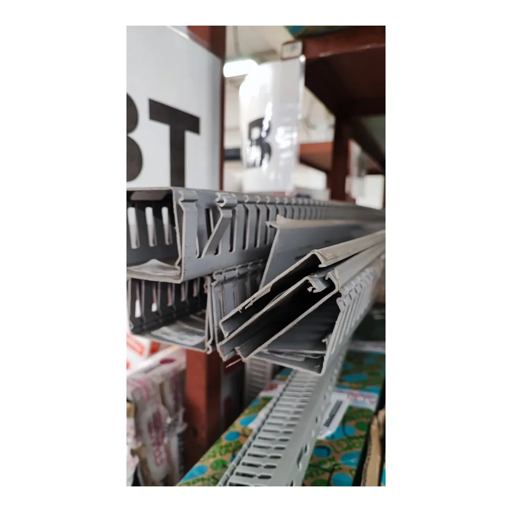 Canaleta Ran/gris Dxn 80X60MM X Tira T10112003 Schneider Electric