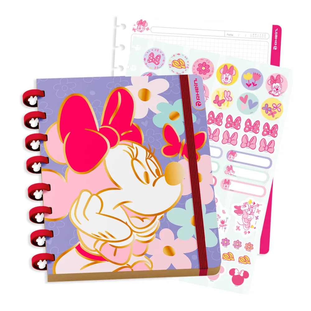 Cuaderno Especial Carta Discos Minnie Bow 80 Hojas 5 Mm Diseño 1 Rhein