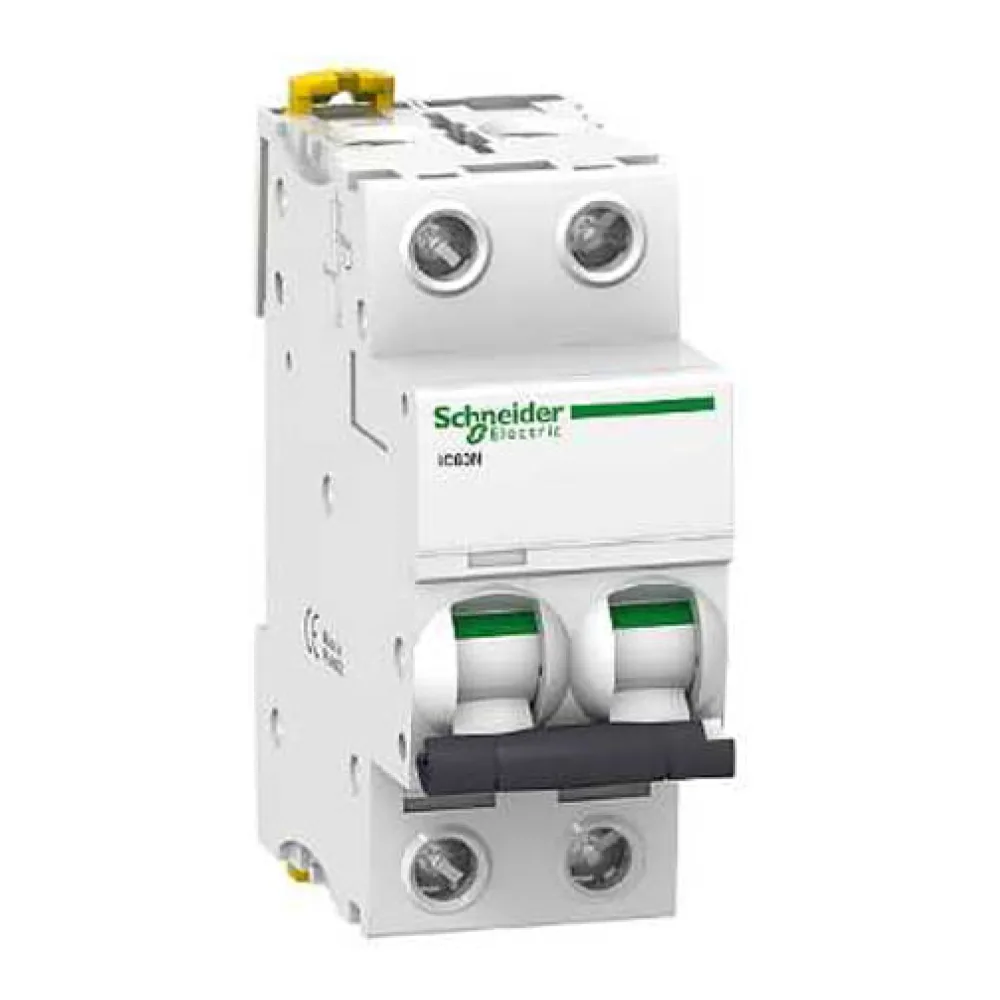 Interruptor Termomagnetico IC60N 2P 25A Curva D 7522559 Schneider Electric